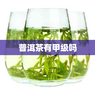 普洱茶有甲级吗