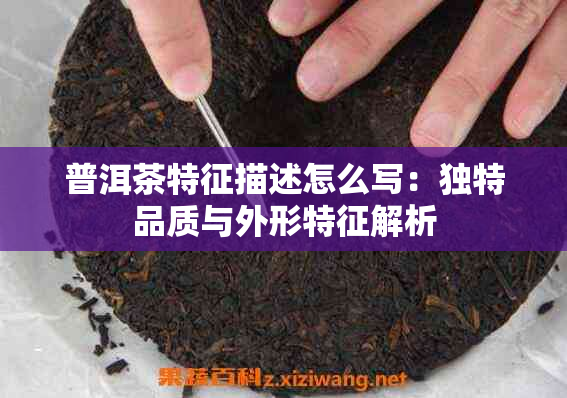 普洱茶特征描述怎么写：独特品质与外形特征解析