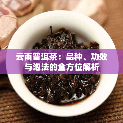 云南普洱茶：品种、功效与泡法的全方位解析