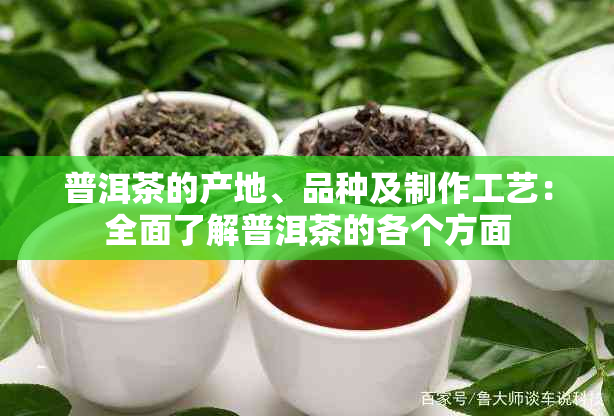 普洱茶的产地、品种及制作工艺：全面了解普洱茶的各个方面