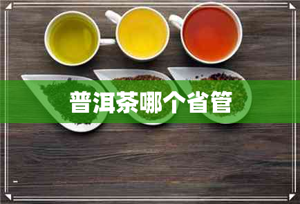 普洱茶哪个省管