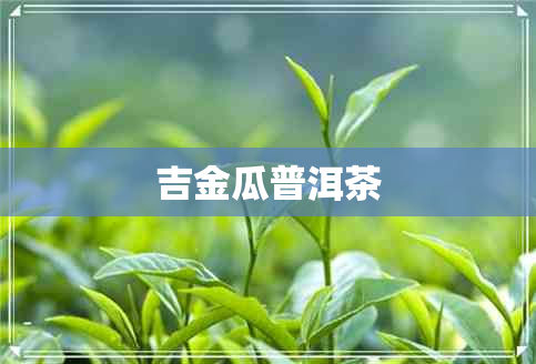 吉金瓜普洱茶