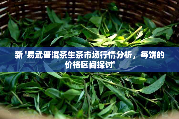 新 '易武普洱茶生茶市场行情分析，每饼的价格区间探讨'