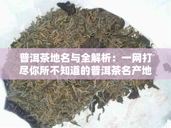 普洱茶地名与全解析：一网打尽你所不知道的普洱茶名产地和