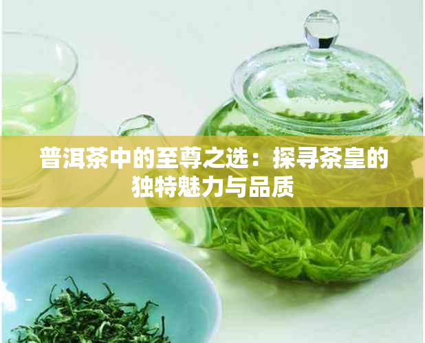 普洱茶中的至尊之选：探寻茶皇的独特魅力与品质