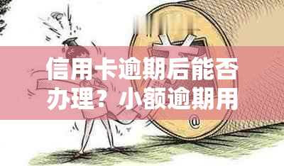 信用卡逾期后能否办理？小额逾期用户如何应对？