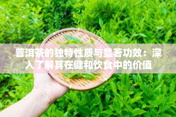 普洱茶的独特性质与显著功效：深入了解其在健和饮食中的价值