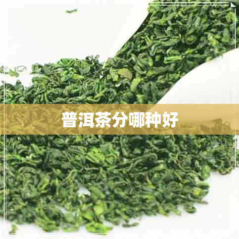 普洱茶分哪种好