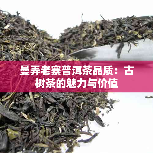 曼弄老寨普洱茶品质：古树茶的魅力与价值