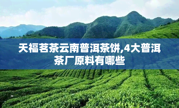 天福茗茶云南普洱茶饼,4大普洱茶厂原料有哪些