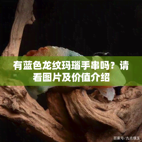 有蓝色龙纹玛瑙手串吗？请看图片及价值介绍