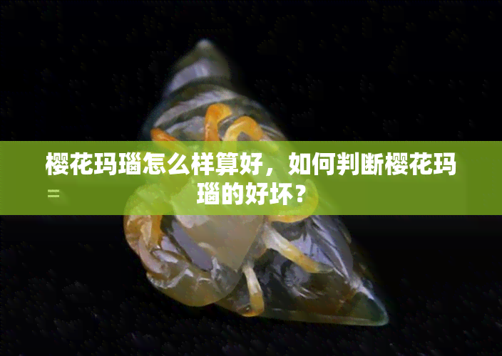 樱花玛瑙怎么样算好，如何判断樱花玛瑙的好坏？