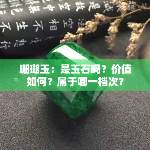 珊瑚玉：是玉石吗？价值如何？属于哪一档次？