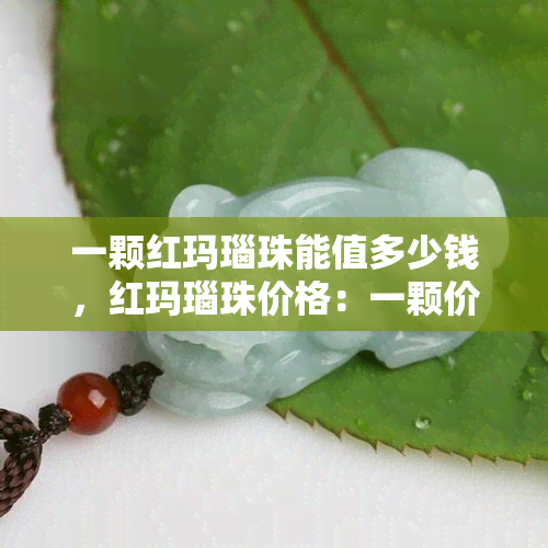 一颗红玛瑙珠能值多少钱，红玛瑙珠价格：一颗价值几何？