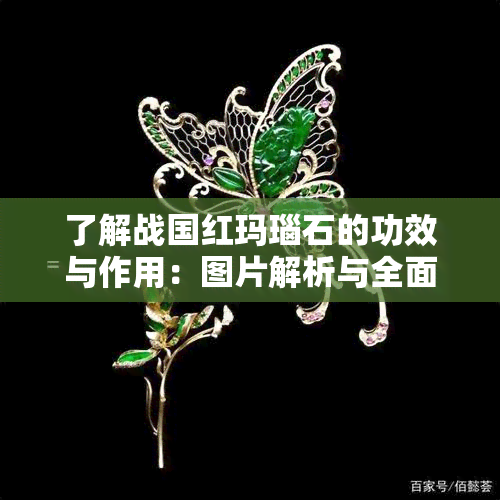 了解战国红玛瑙石的功效与作用：图片解析与全面介绍