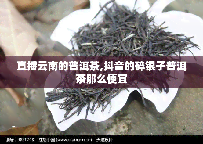 直播云南的普洱茶,抖音的碎银子普洱茶那么便宜