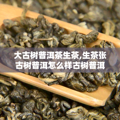 大古树普洱茶生茶,生茶张古树普洱怎么样古树普洱也分生普和熟普吗