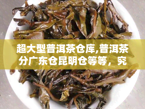 超大型普洱茶仓库,普洱茶分广东仓昆明仓等等，究竟哪个好