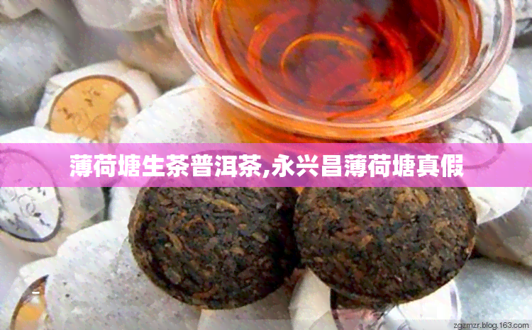 薄荷塘生茶普洱茶,永兴昌薄荷塘真假