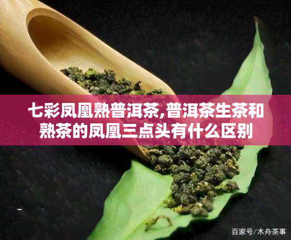 七彩凤凰熟普洱茶,普洱茶生茶和熟茶的凤凰三点头有什么区别