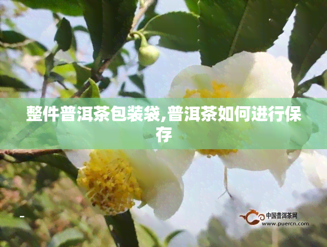 整件普洱茶包装袋,普洱茶如何进行保存