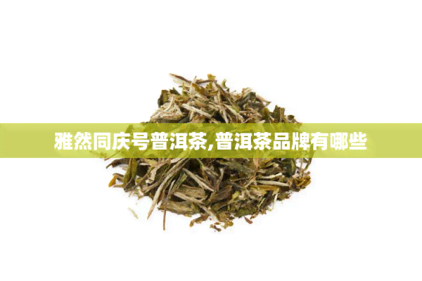 雅然同庆号普洱茶,普洱茶品牌有哪些