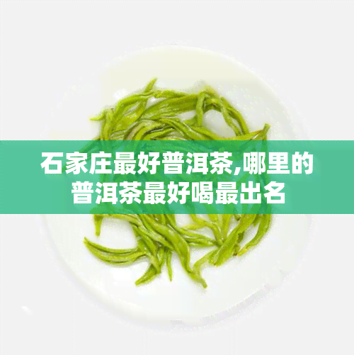 石家庄更好普洱茶,哪里的普洱茶更好喝最出名