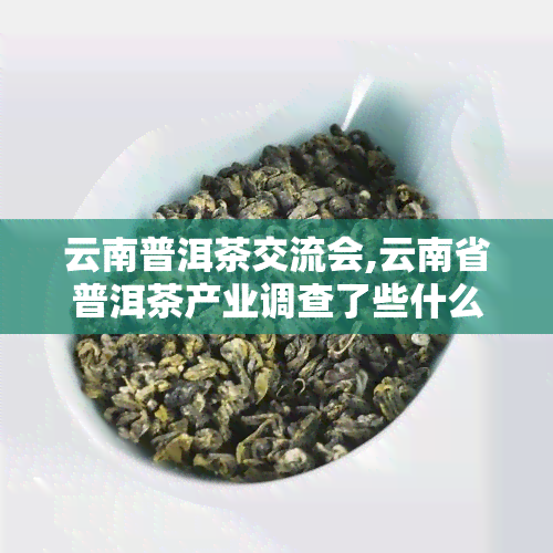 云南普洱茶交流会,云南省普洱茶产业调查了些什么