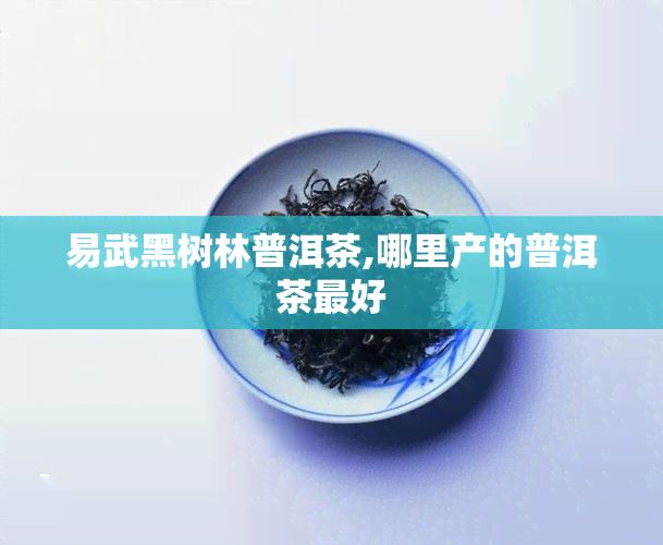 易武黑树林普洱茶,哪里产的普洱茶更好