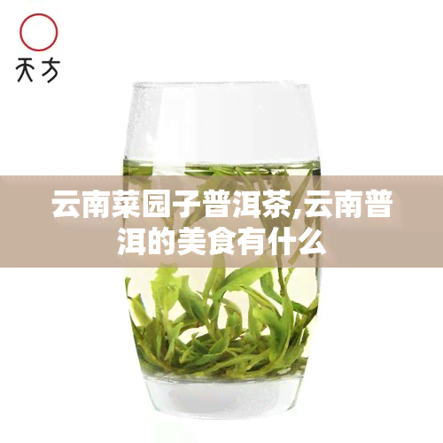 云南菜园子普洱茶,云南普洱的美食有什么