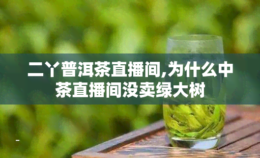 二丫普洱茶直播间,为什么中茶直播间没卖绿大树