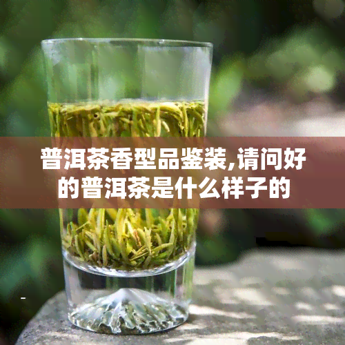 普洱茶香型品鉴装,请问好的普洱茶是什么样子的