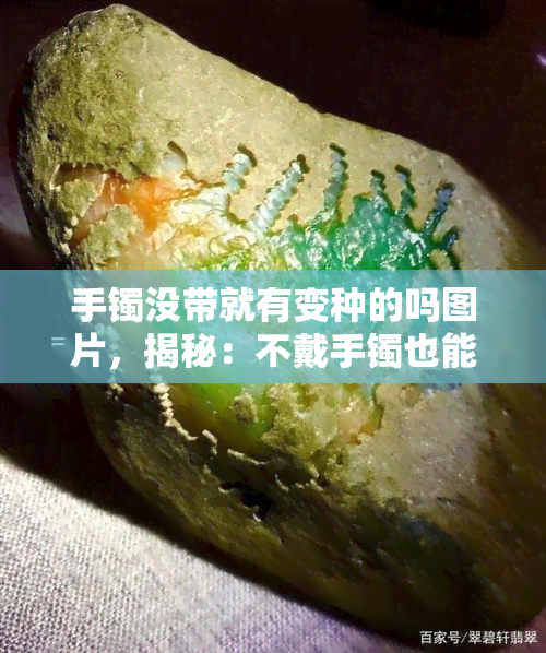 手镯没带就有变种的吗图片，揭秘：不戴手镯也能有变种？看图了解真相！