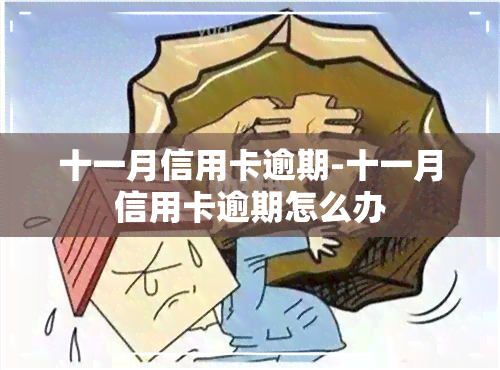 十一月信用卡逾期-十一月信用卡逾期怎么办