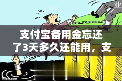 支付宝备用金忘还了3天多久还能用，支付宝备用金逾期3天被锁多久恢复