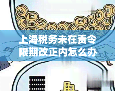 上海税务未在责令限期改正内怎么办(经责令限期改正仍不申报税务机关怎么办理)