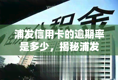 浦发信用卡的逾期率是多少，揭秘浦发信用卡逾期率，你是否处于风险之中？