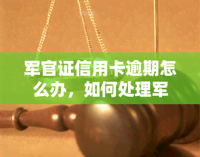 军官证信用卡逾期怎么办，如何处理军官证信用卡逾期问题？