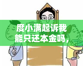 度小满起诉我能只还本金吗，度小满起诉后能要求只还本金吗