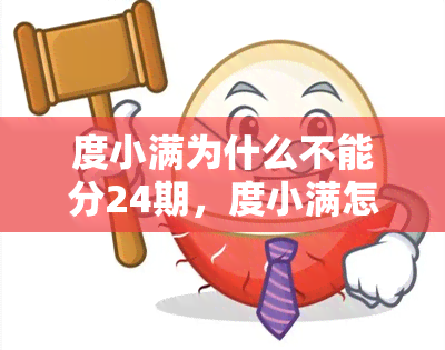 度小满为什么不能分24期，度小满怎么分24期