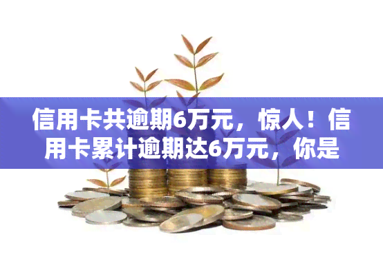 信用卡共逾期6万元，惊人！信用卡累计逾期达6万元，你是否也正面临这个问题？