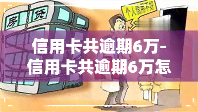 信用卡共逾期6万-信用卡共逾期6万怎么办