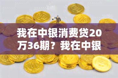 我在中银消费贷20万36期？我在中银消费贷20万起诉了