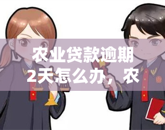 农业贷款逾期2天怎么办，农业贷款逾期两天，应该采取什么措？