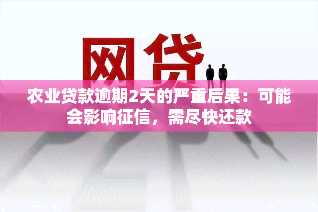 农业贷款逾期2天的严重后果：可能会影响，需尽快还款