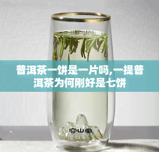 普洱茶一饼是一片吗,一提普洱茶为何刚好是七饼