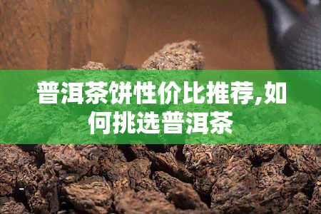 普洱茶饼性价比推荐,如何挑选普洱茶