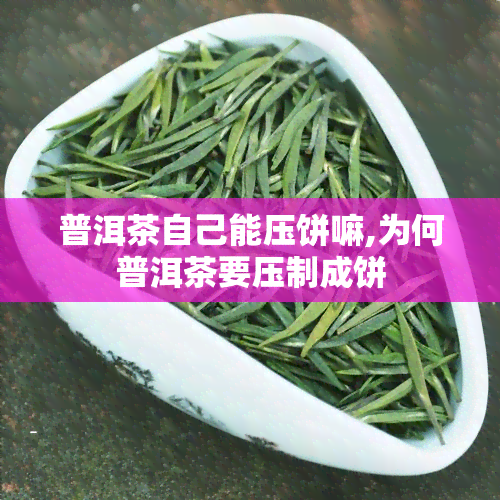 普洱茶自己能压饼嘛,为何普洱茶要压制成饼