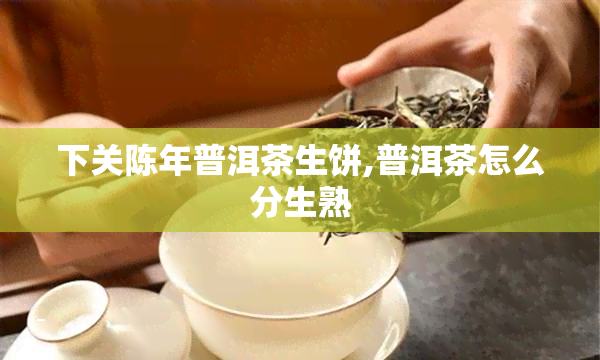 下关陈年普洱茶生饼,普洱茶怎么分生熟