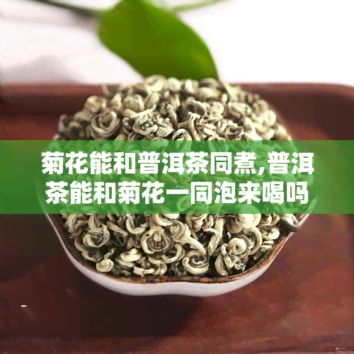 菊花能和普洱茶同煮,普洱茶能和菊花一同泡来喝吗